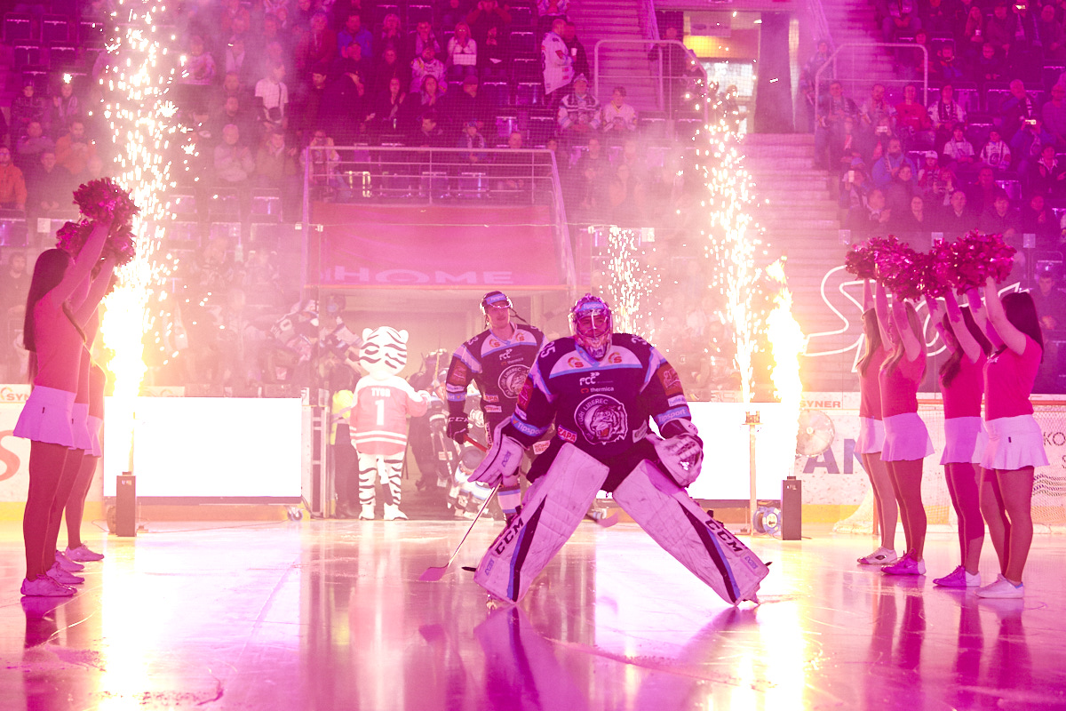 Nástup Bílých Tygrů na led v utkání proti Hradci 20. března doprovázela růžová světla, hokejisté to stále vidí růžově
