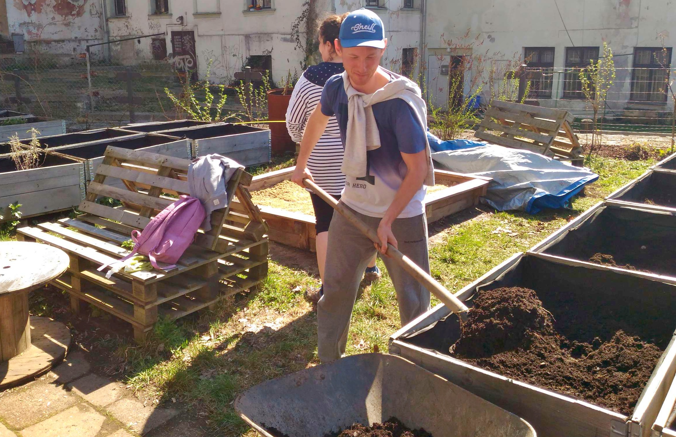 Na komunitní zahradě v Liberci si vlastní bylinky nebo zeleninu můžete vypěstovat v dřevěných bedýnkách