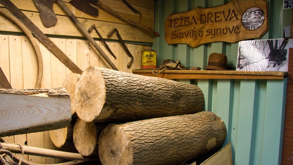 Špalky jasanového dřeva jako výchozí surovina pro výrobu lyží