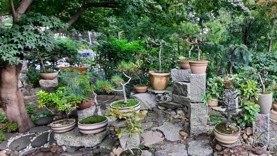 Zahrada je v evropském i japonském stylu