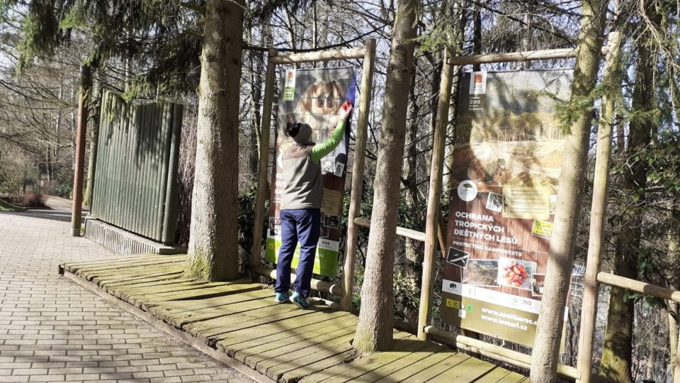 V Zoo Liberec se ještě o víkendu připravují na pondělní otevření. Důležitý je každý detail