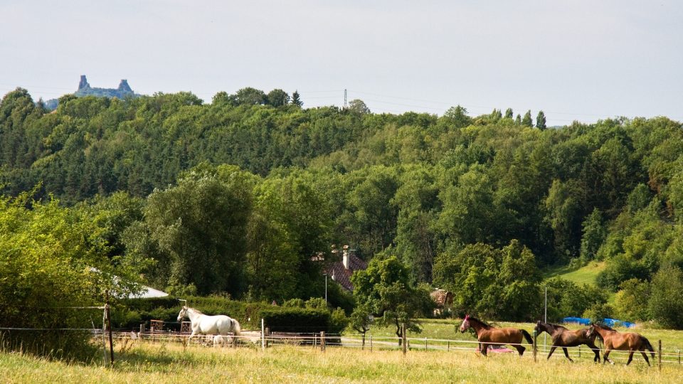 Z koňské farmy manželů Polákových v Lestkově jsou vidět nedaleké Trosky