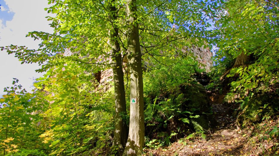 K Chudému hrádku vede odbočka ze zelené turistické trasy | foto: Jaroslav Hoření, Český rozhlas K Chudému hrádku vede odbočka ze zelené turistické trasy