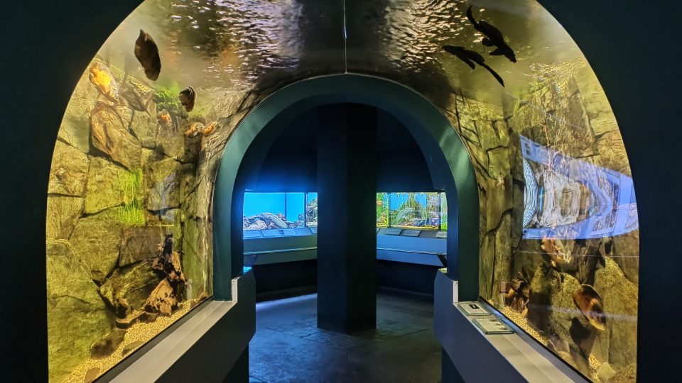 Pavilon akvárií je věnován tropickým rybám i jiným živočichům