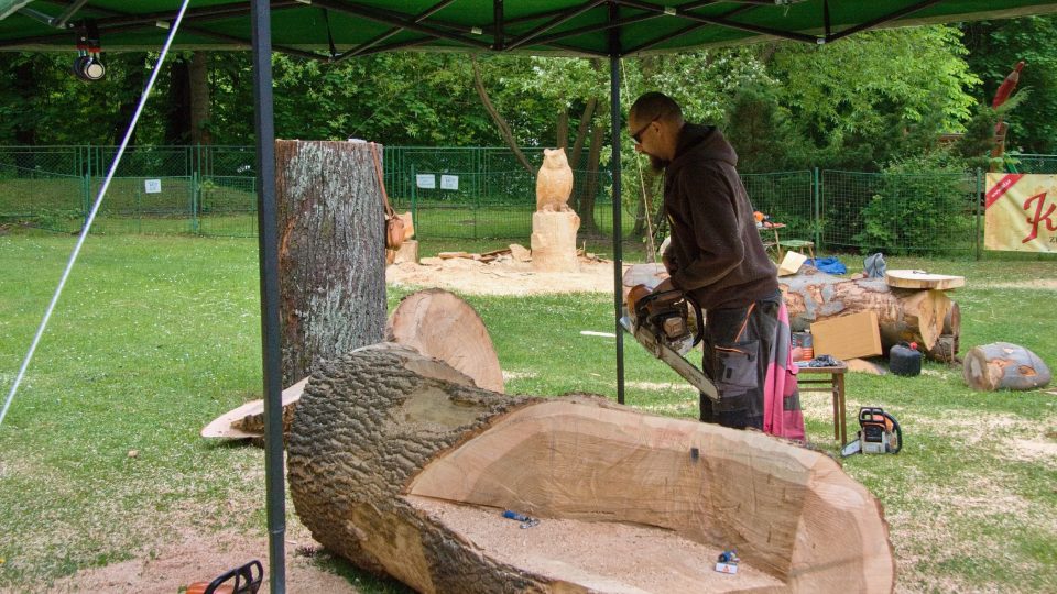Jubilejní 20. desenské dřevosochání v zahradě Riedlovy vily