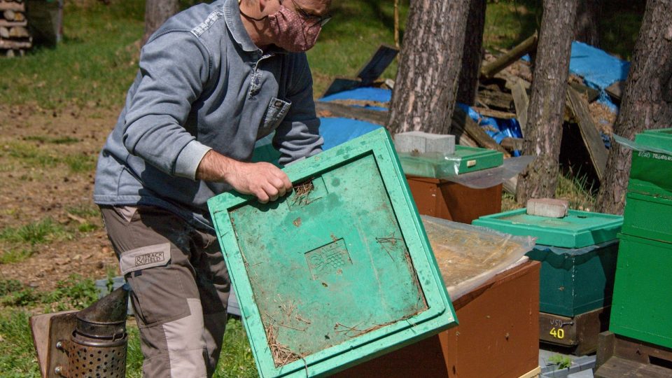 Včelař Tomáš Moravec ze včelí farmy Smržov na Českodubsku