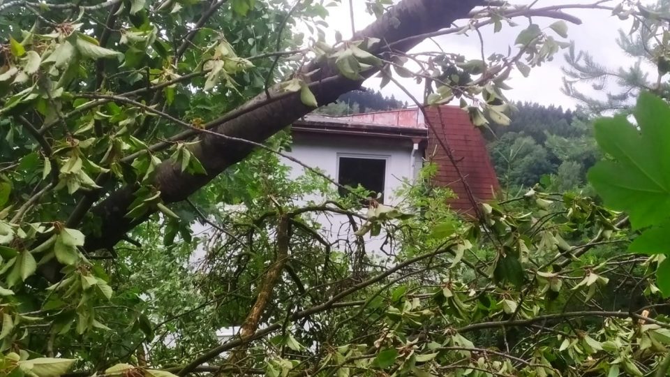 Následky silné bouřky v v Jablonci nedaleko Petřína
