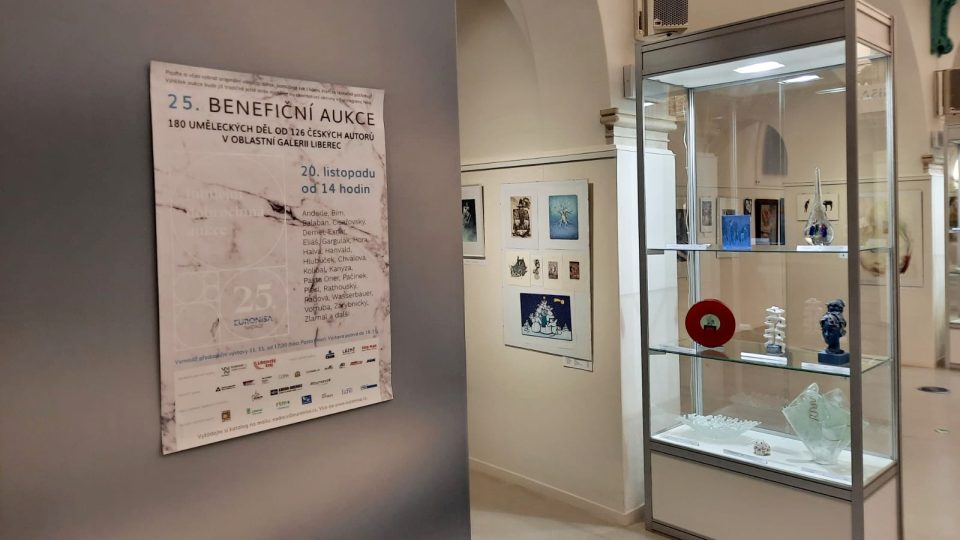 Liberecké Oblastní galerie vystavuje díla připravená do charitativní aukce Nadace Euronisa