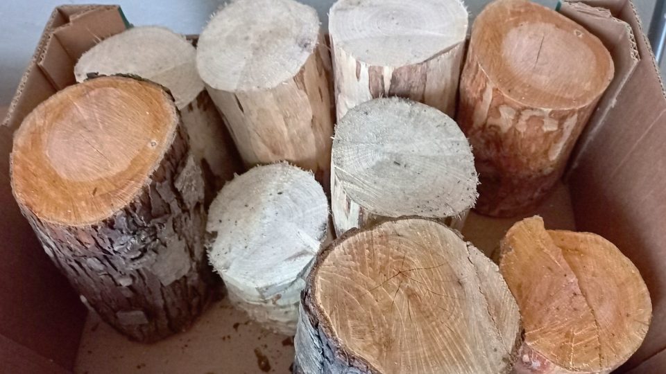 Na soustružení je prý nejlepší hlohové dřevo a javorový kořen