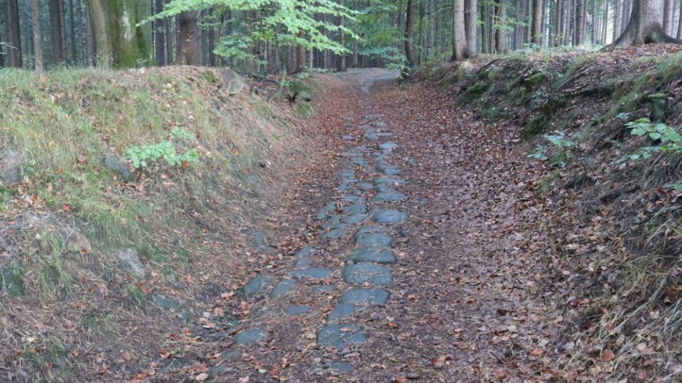 Turistická cesta zvaná Modrá hřebenovka