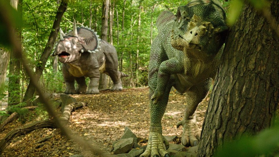 Dinosauři tu číhají za každým stromem