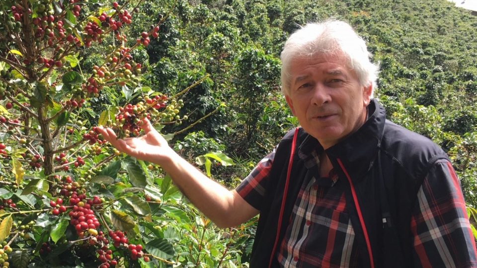 Na vietnamské kávovníkové plantaži