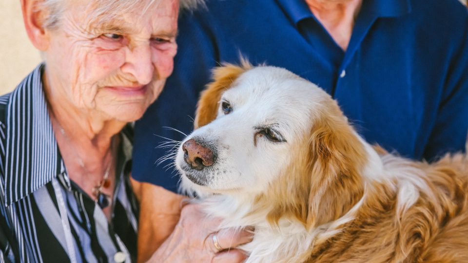 Pittauerovi se svým věrným čtyřnohým přítelem | foto: Jana Volková Pittauerovi se svým věrným čtyřnohým přítelem