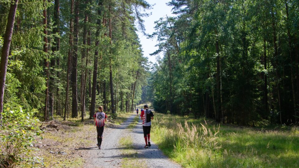 Sportovní relax v lesích v Ralsku