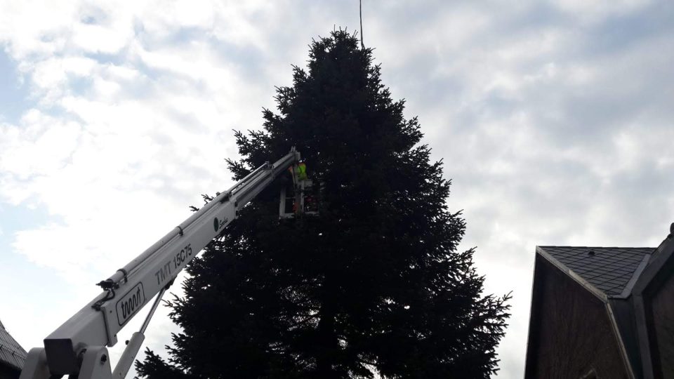 Letošní liberecký vánoční strom je z Pavlovic