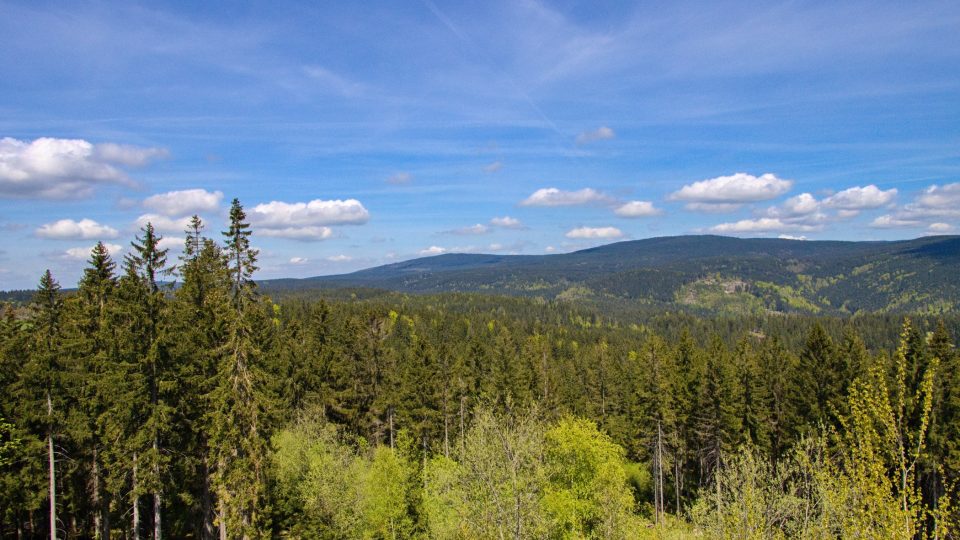 Výhledy ze Slovanky | foto: Jaroslav Hoření, Český rozhlas Výhledy ze Slovanky