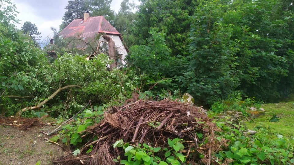 Následky bouře v Jablonci nad Nisou u Petřína