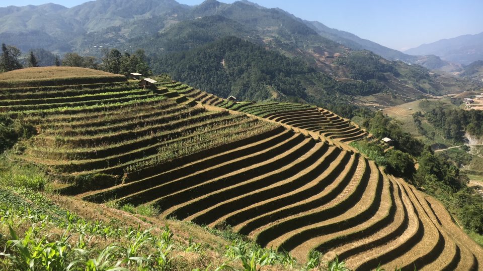 Rýžové terasy ve Vietnamu