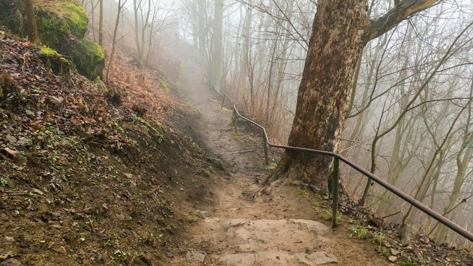 Cesta na zříceninu hradu Andělská Hora