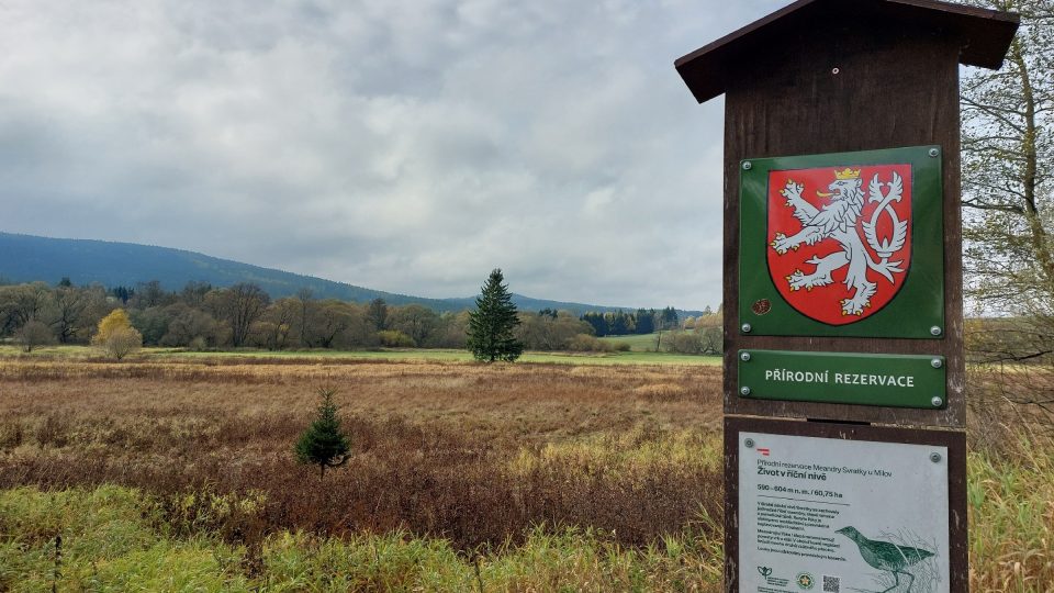 Lokalita je zároveň přírodní rezervací | foto: Irena Šarounová, Český rozhlas Lokalita je zároveň přírodní rezervací