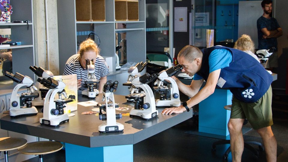 Mikroskopická laboratoř v iQPARKu v Liberci | foto: Jaroslav Hoření, Český rozhlas Mikroskopická laboratoř v iQPARKu v Liberci