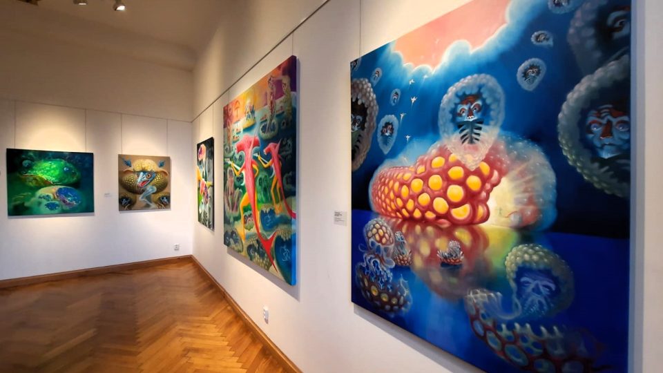 František Štorm vystavuje v Severočeském muzeu v Liberci. Jeho výstavu Libero je možné navštívit do května