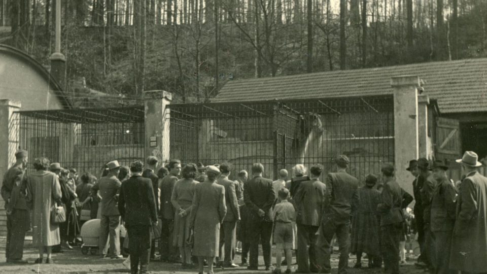 Pohled na Zwinger (postaven 1909) obklopený návštěvníky.jpeg