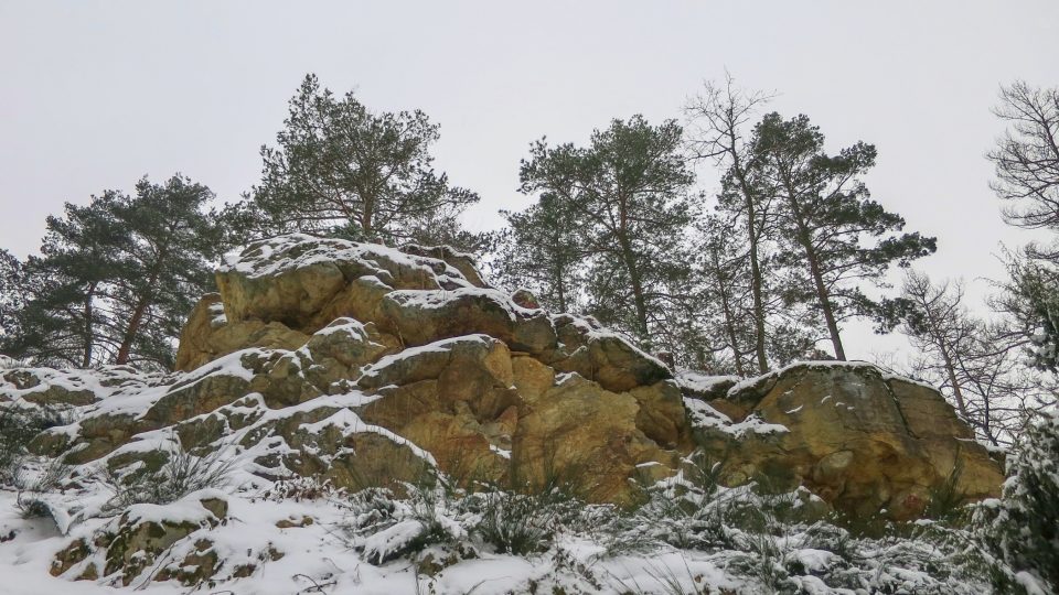 Nejvyšší sklaní výchoz v lokalitě Na skalách
