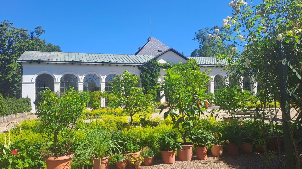 Zámecká oranžerie je klenotem zámku Raduň | foto: Romana Kubicová, Český rozhlas Zámecká oranžerie je klenotem zámku Raduň