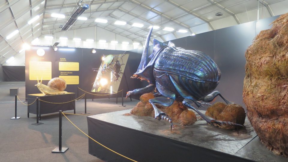 Pohled do expozice výstavy Megabrouci v Golf resortu Dříteč
