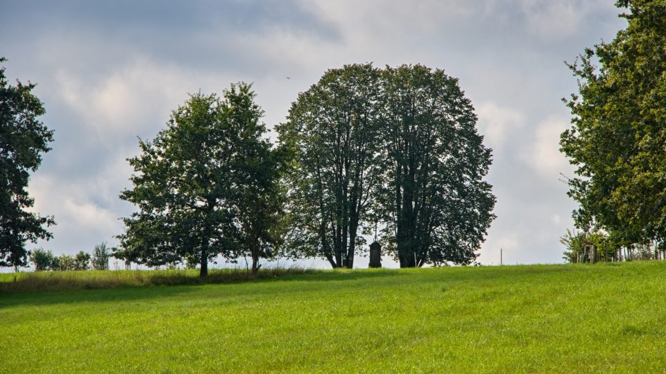 Lípy u Wohlmannova kříže ve Václavicích