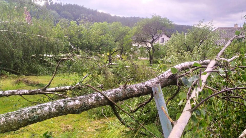 Stromy popadané v bouřce v Jablonci nad Nisou