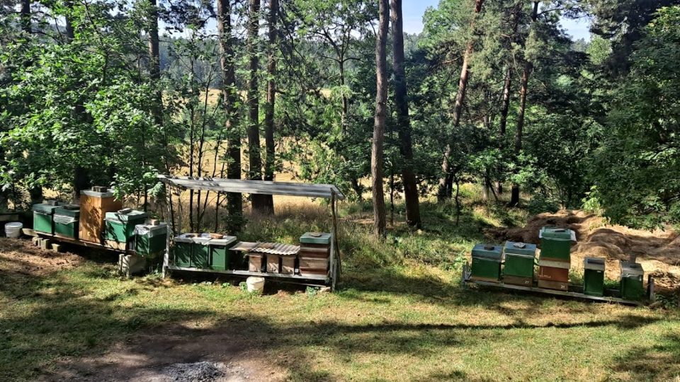 Včelí farma ve Smržově na Českodubsku pořádá i kurzy pro začínající včelaře