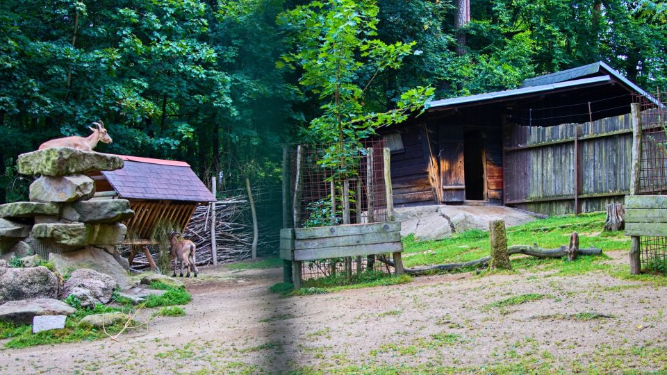 Zoo Liberec - historický hraniční mezník připomíná původní tierpark