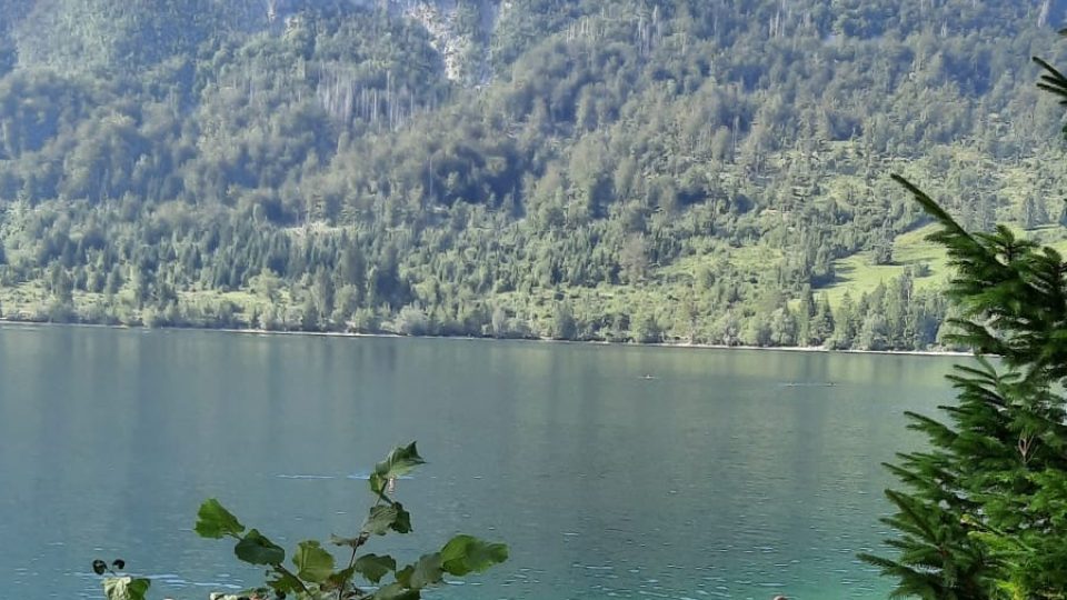 Cestování po Slovinsku - Jezero Bohinj