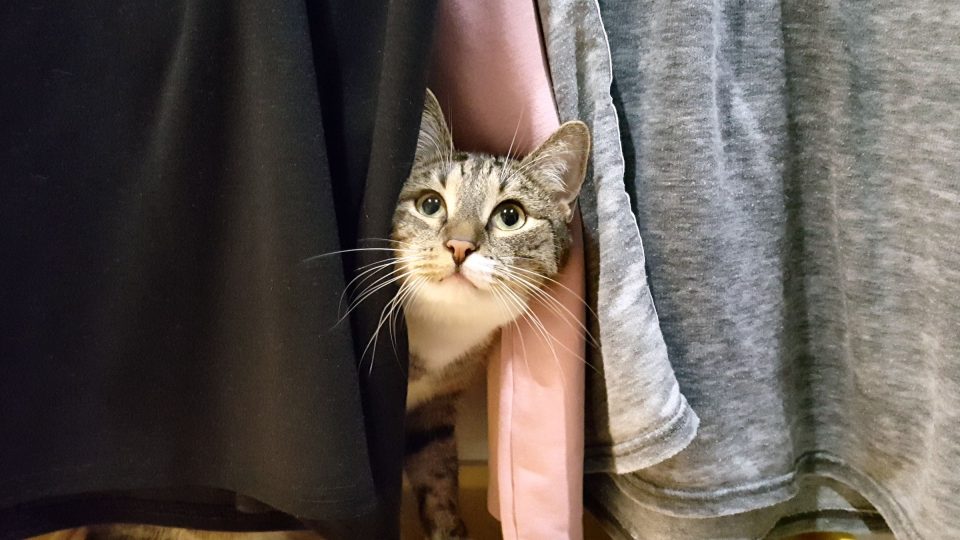 Pohled z úkrytu | foto: Jolana Nováková, Český rozhlas Pohled z úkrytu