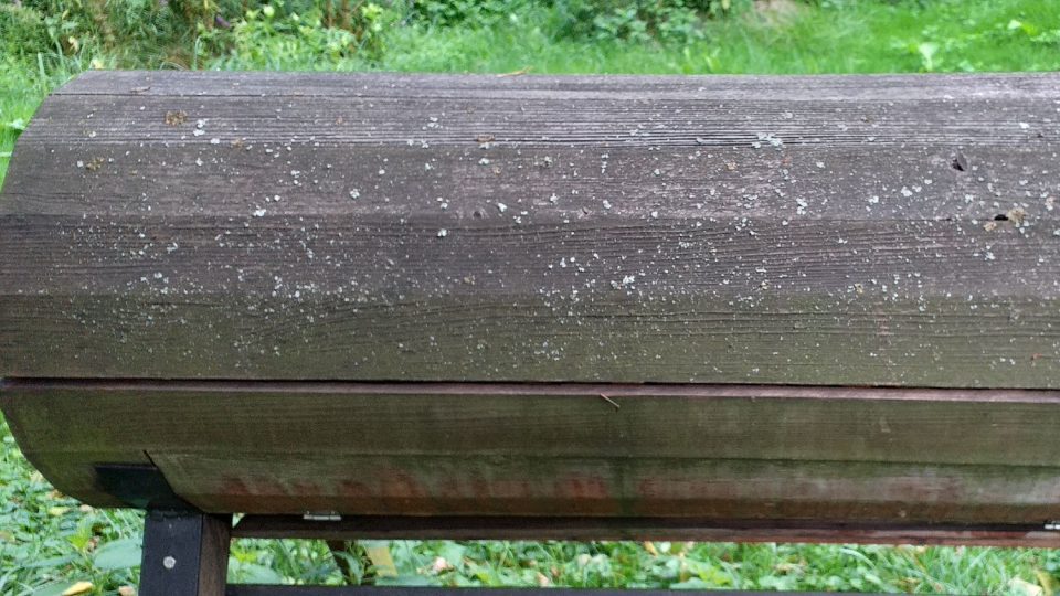 Typ úlu | foto: Stanislava Brádlová, Český rozhlas Typ úlu