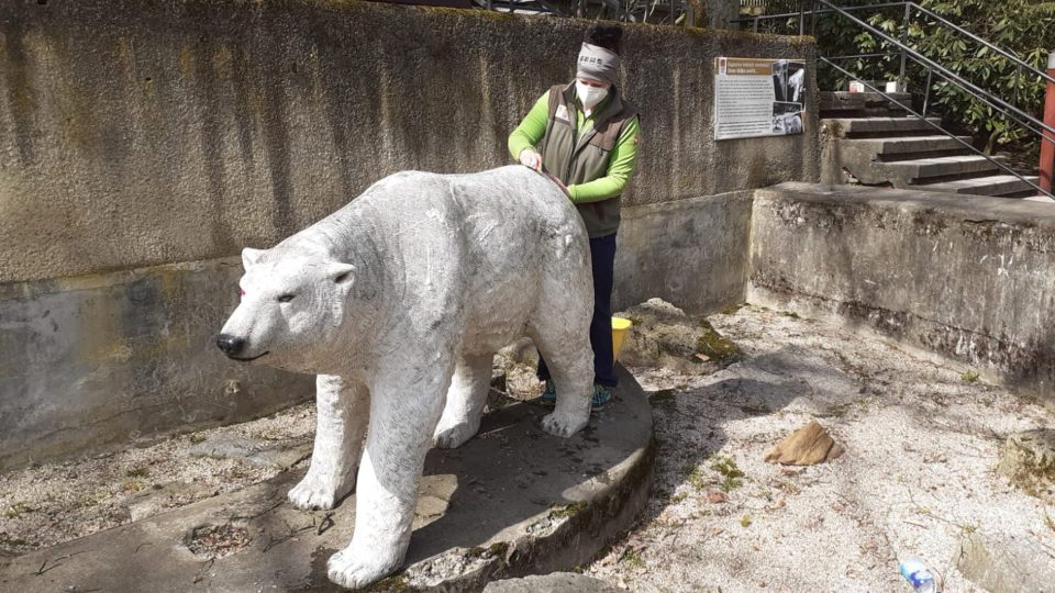 Umýt je potřeba i maketu ledního medvěda, umístěnou ve výběhu, který tento druh v Zoo Liberec kdysi obýval