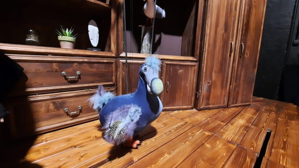 Naivní divadlo v Liberci uvádí pohádku nazvanou Dodo