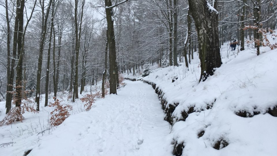 Nejdecká křížová cesta stoupá pozvolně