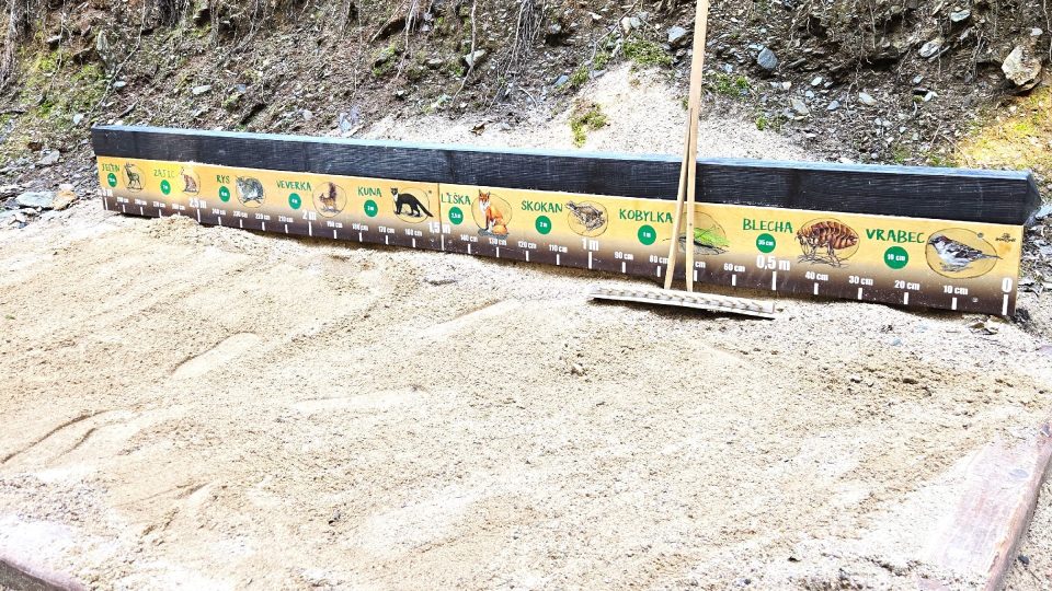 Na stezce si můžete vyzkoušet i skákání se zvířaty | foto: Vladislava Wildová, Český rozhlas Na stezce si můžete vyzkoušet i skákání se zvířaty