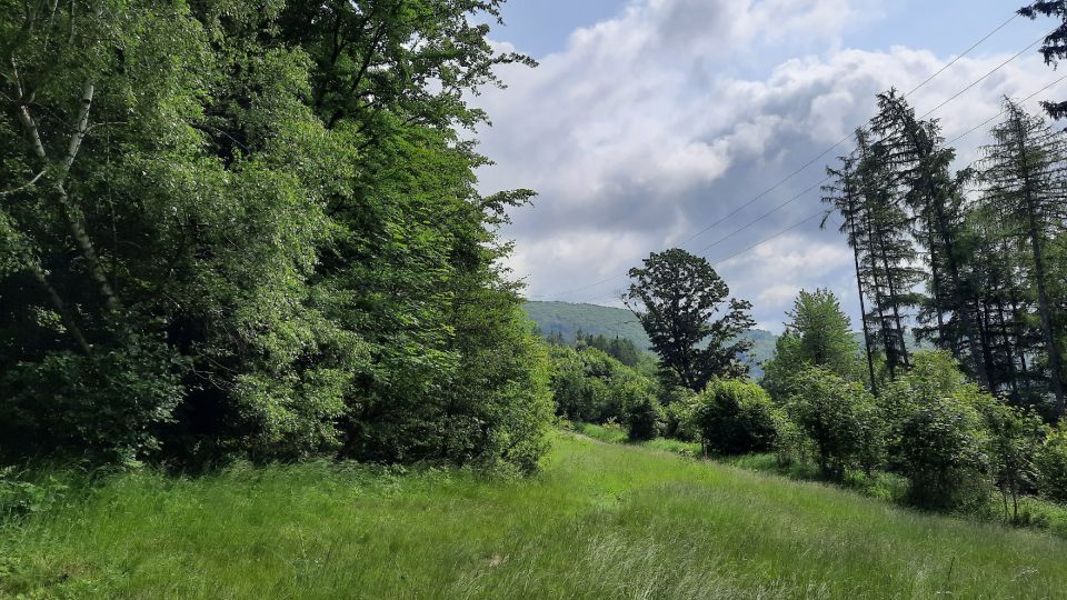Turisté se na horu Velká Čantoryje mohou vydat z centra obce Nýdek