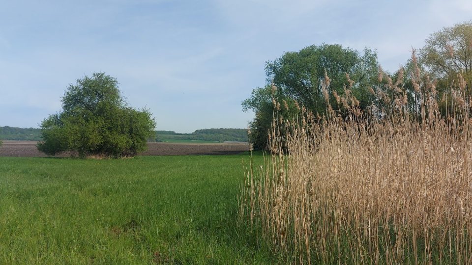 Okolní krajina Žehuňského rybníka je jedinečná. V pozadí náhorní plošina Báň