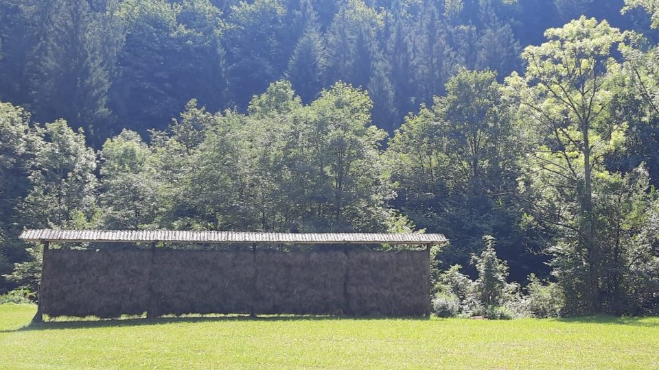V Julských Alpách ve Slovinsku uvidíte tradiční sušáky sena