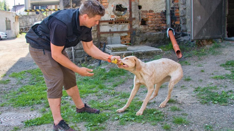 Profesionální hasič Václav Vančura s jedním ze svých psů