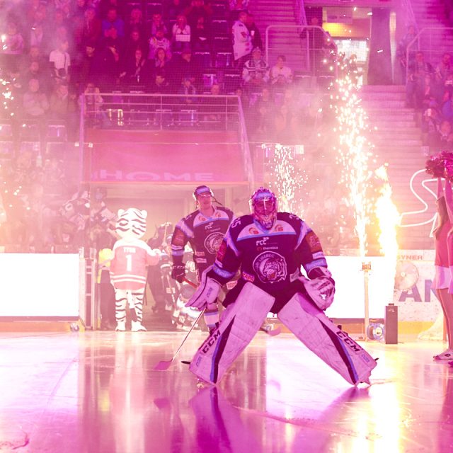 Nástup Bílých Tygrů na led v utkání proti Hradci 20. března doprovázela růžová světla,  hokejisté to stále vidí růžově | foto: Jiří Princ,  Bílí Tygři Liberec
