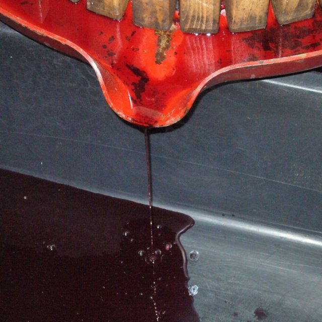 Sladký mošt vytéká do připravené nádoby | foto: Michal Trnka,  Český rozhlas