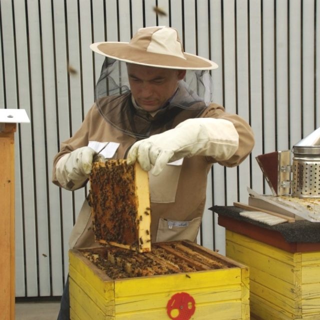 Včelař Roman Slavík | foto: Roman Verner,  Český rozhlas