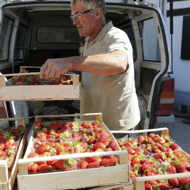 Ilustrační snímek | foto: Fotoservis Evropského parlamentu