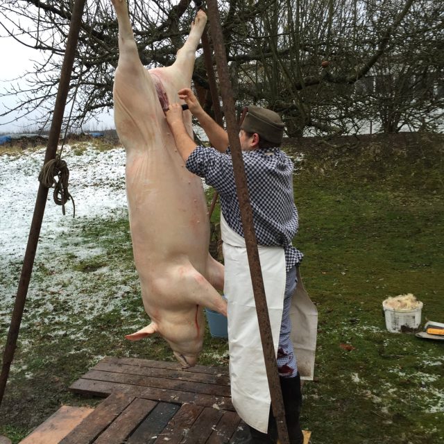 Zabíjačka,  ilustrační foto | foto: Jitka Slezáková,  Český rozhlas